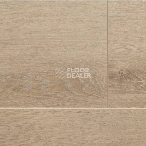 Ламинат Alsafloor Solid Plus ДУБ МИНДАЛЬНЫЙ 529 фото 1 | FLOORDEALER